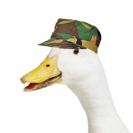 corporalduck